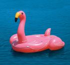 T-1249 Swimline Inflatable Giant Flamingo Group Pool Float